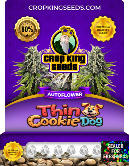 Thin Cookie Dog Strain