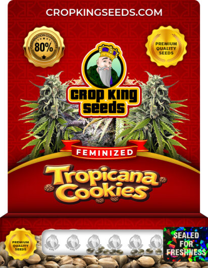 Tropicana Cookies Strain
