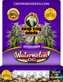 Watermelon OG Strain