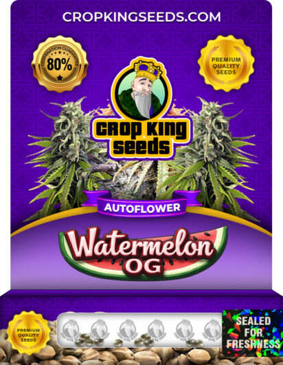 Watermelon OG Strain