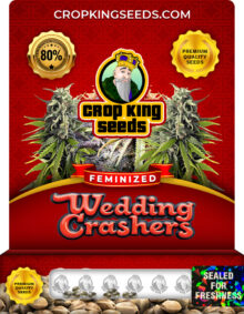 Wedding Crasher Strain