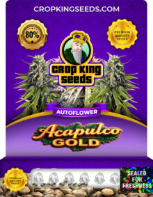 Acapulco Gold Strain