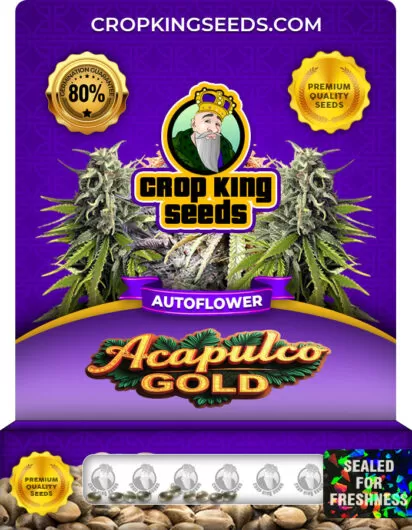 Acapulco Gold Strain