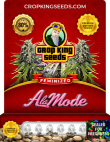 A La Mode Strain