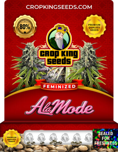 A La Mode Strain