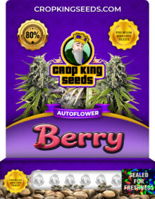 Berry Strain