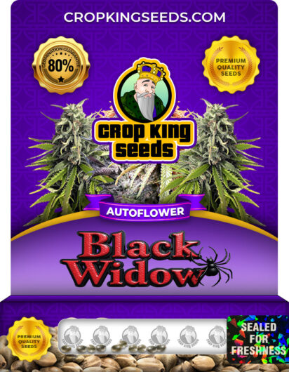 Black Widow Strain