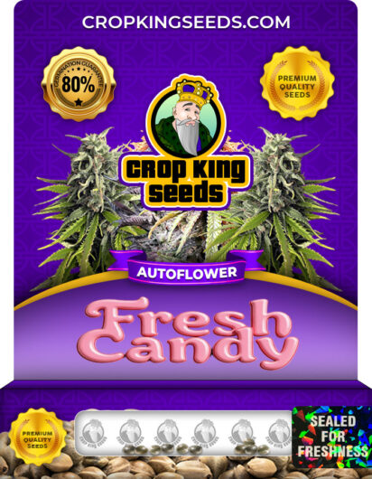 Fresh Candy Strain