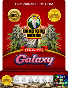 Galaxy Strain