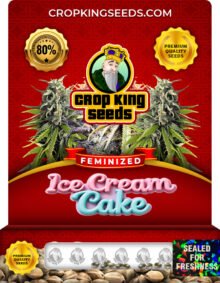 Ice Cream Cake Strain