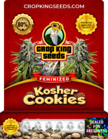 Kosher Cookies Strain