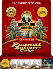 Peanut Butter Cake Strain