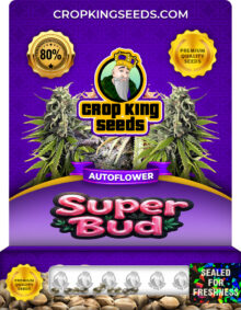Super Bud Strain