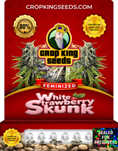White Strawberry Skunk