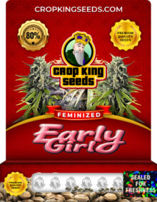 Early Girl Strain