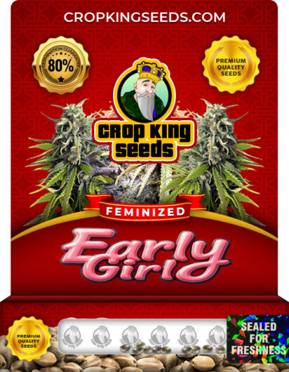 Early Girl Strain