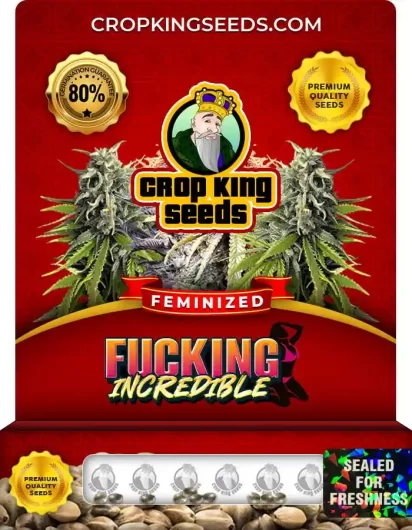 Fucking Incredible Feminized