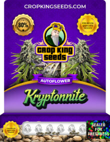 Kryptonite Strain
