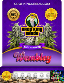Wembley Strain