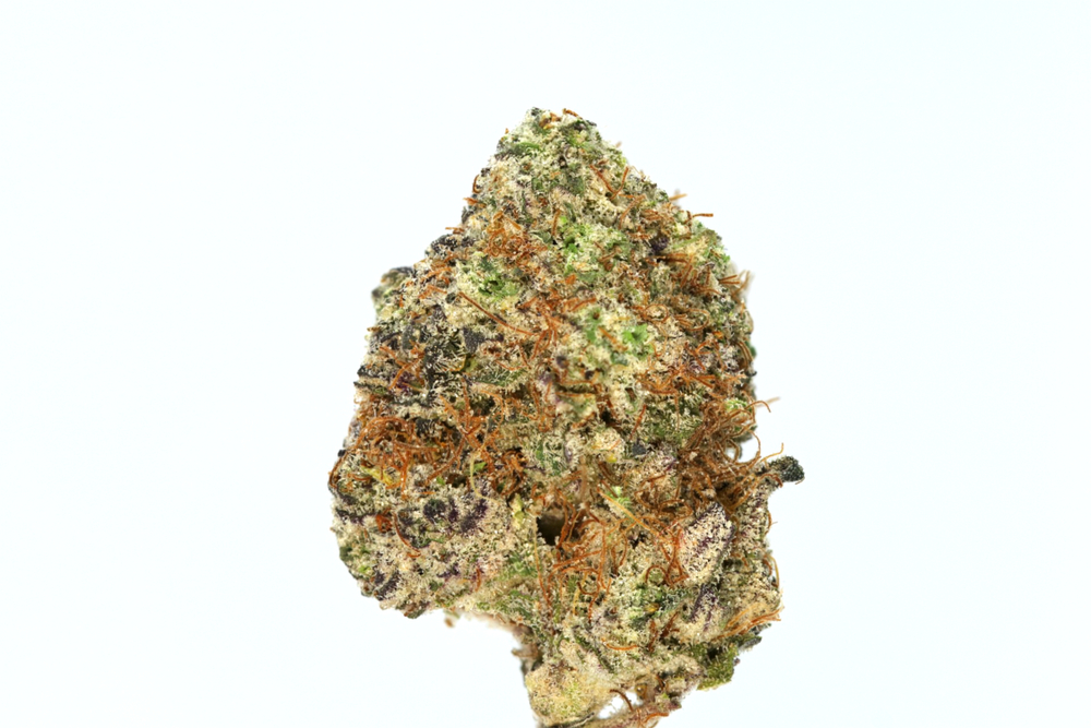 Wedding Crasher Strain Profile: A Mellow Hybrid Punch!