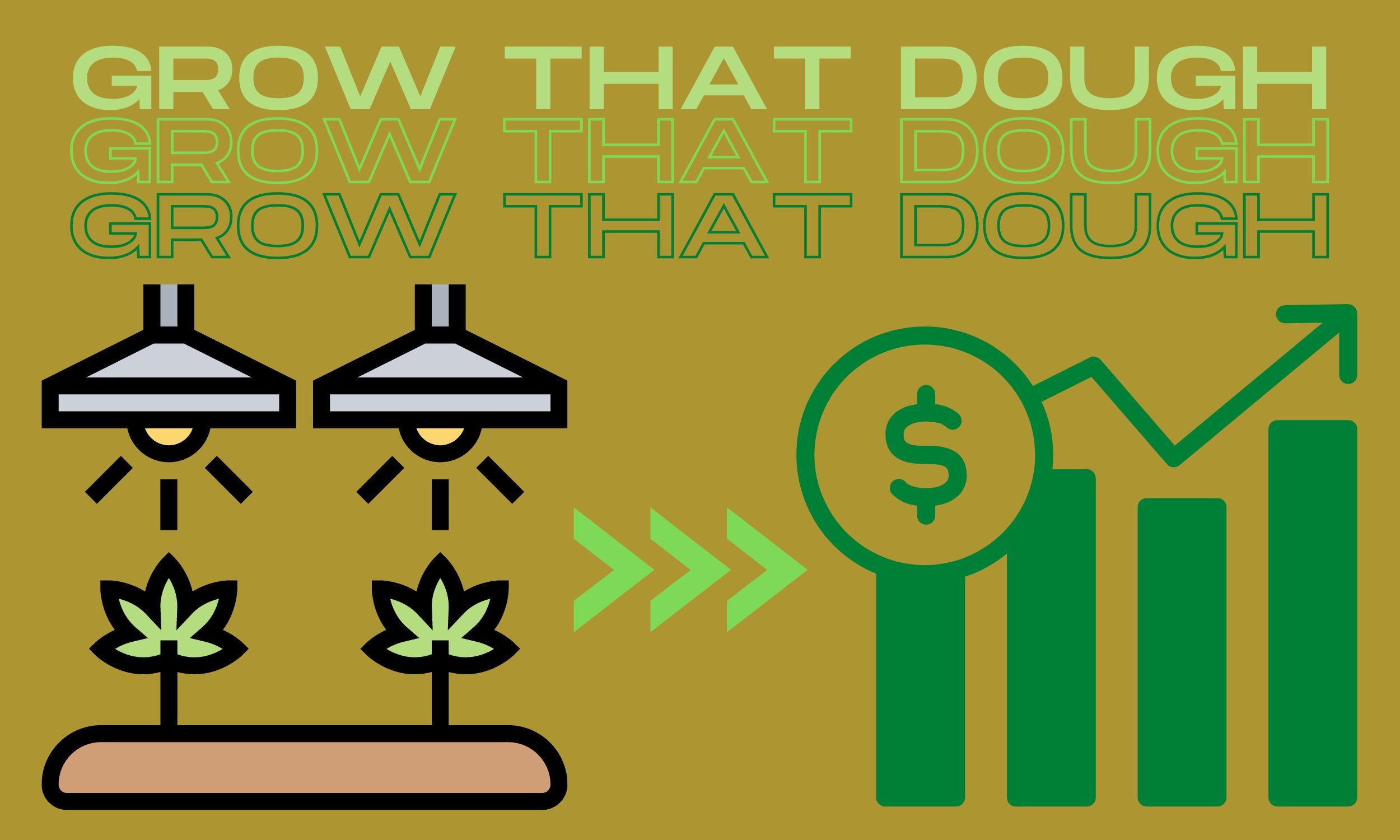 Building a Career in Cannabis: Unique Ways to Make Money While Growing Marijuana