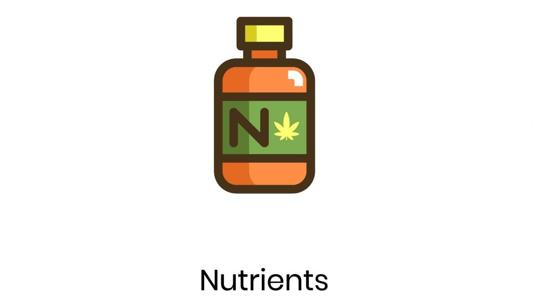 What is NPK, why is it important and how does it affect your cannabis plant?