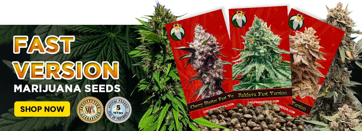 Top Selling Cannabis Products: Is Flower Still King?