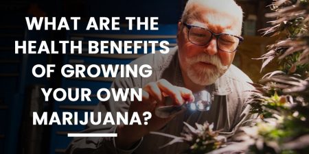 Growing your own marijuana