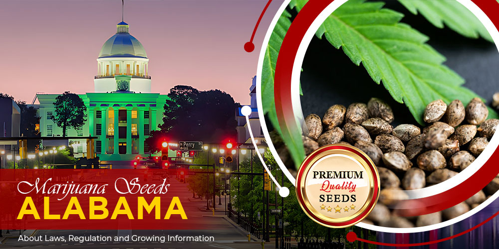 marijuana-seeds-alabama