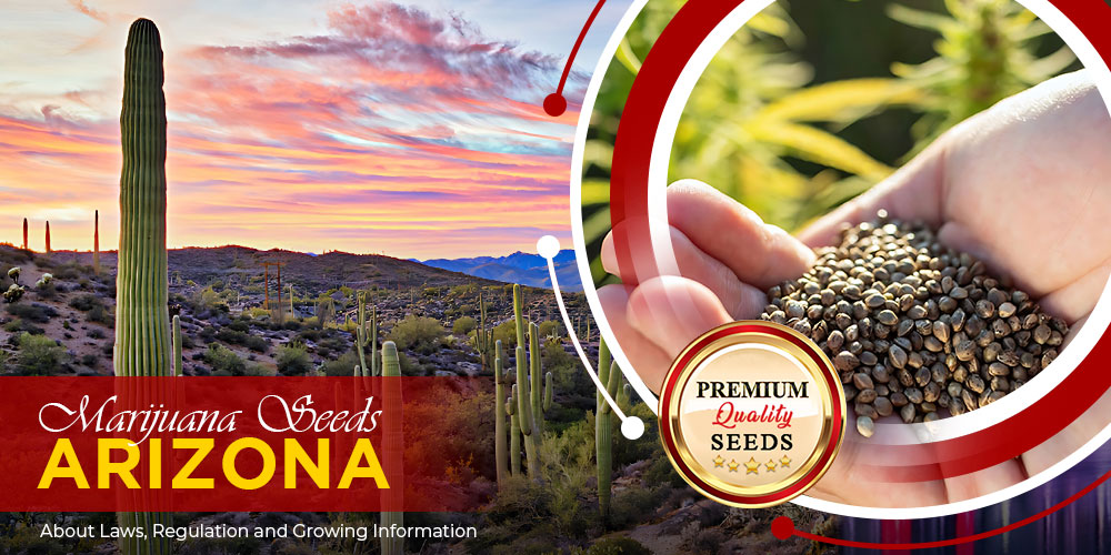 marijuana seeds arizona