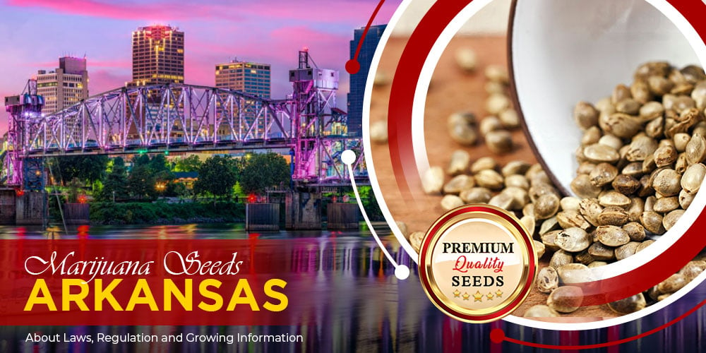 marijuana seeds arkansas