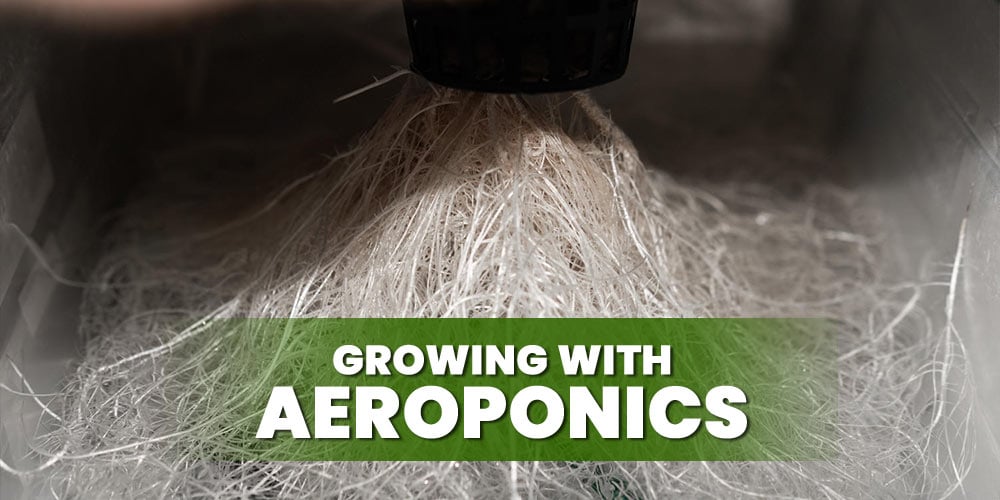 Growing-With-Aeroponics