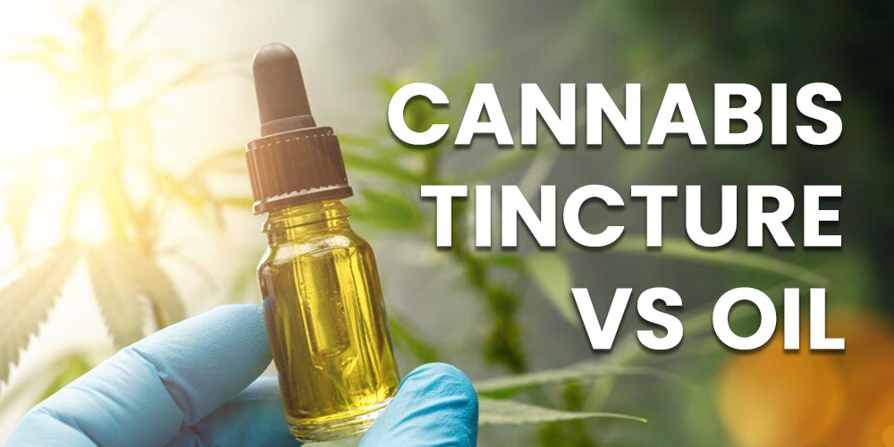cannabis-tincture-vs-oil