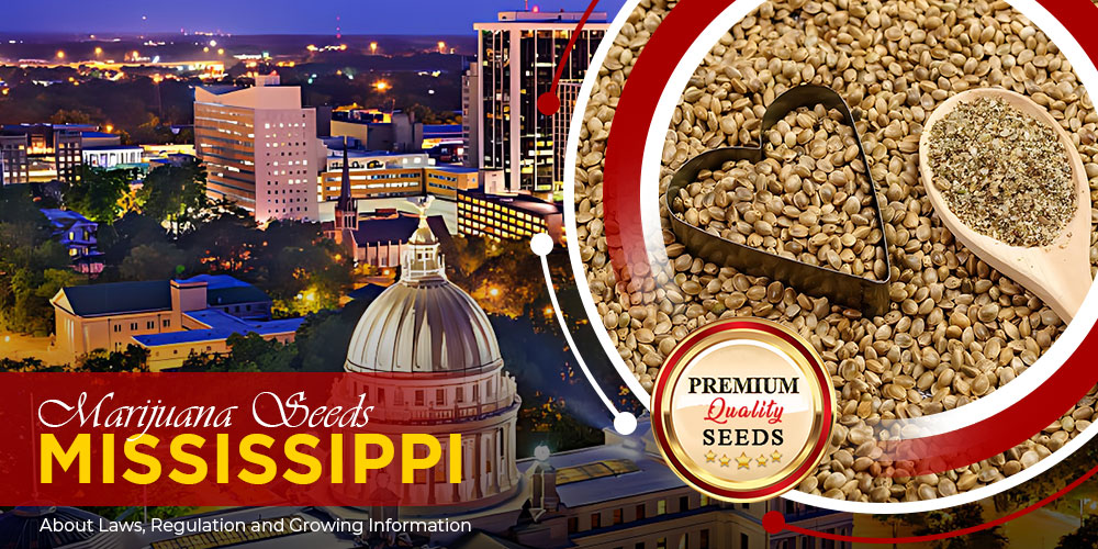 marijuana-seeds-mississippi