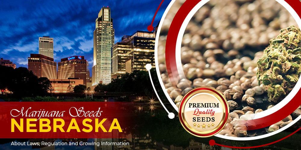 marijuana-seeds-nebraska