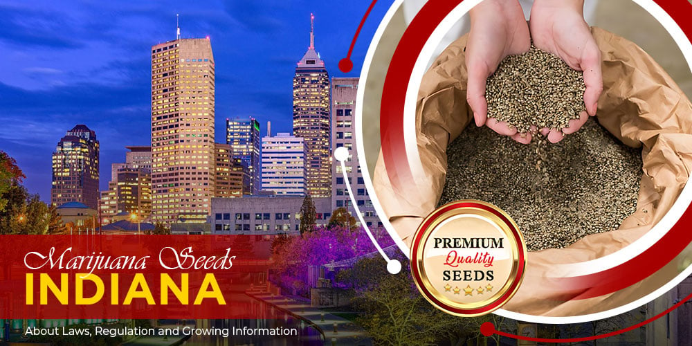 marijuana-seeds-indiana