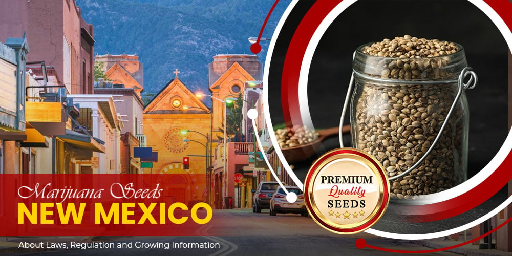 marijuana seeds new mexico