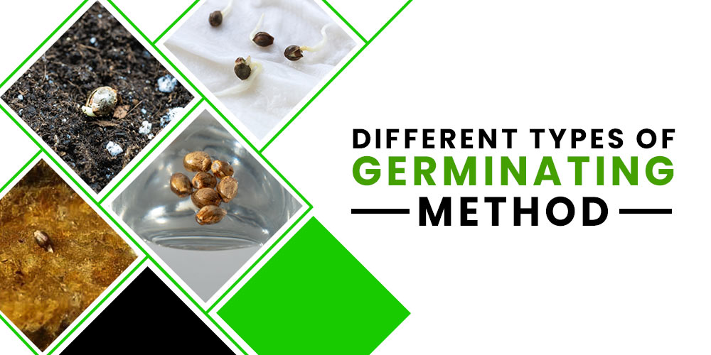 Germination Methods