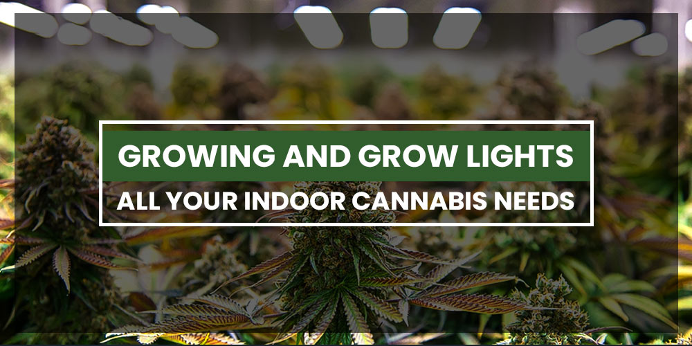 Grow Lights