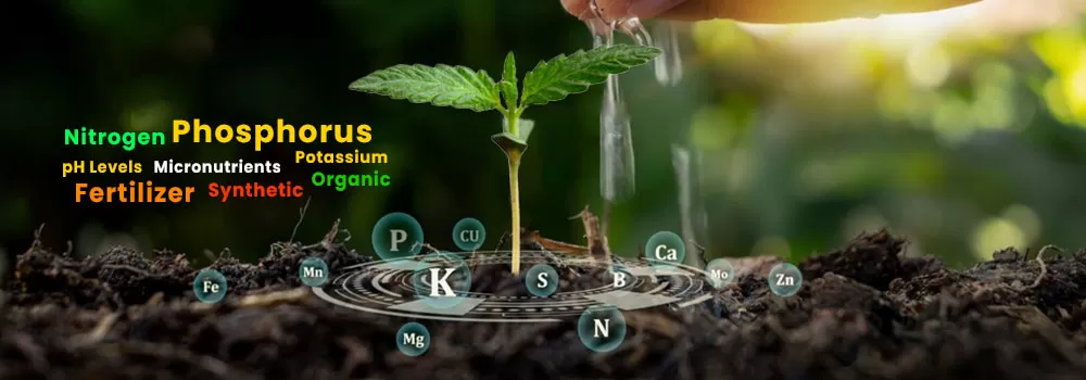 Nutrients and Fertilizers