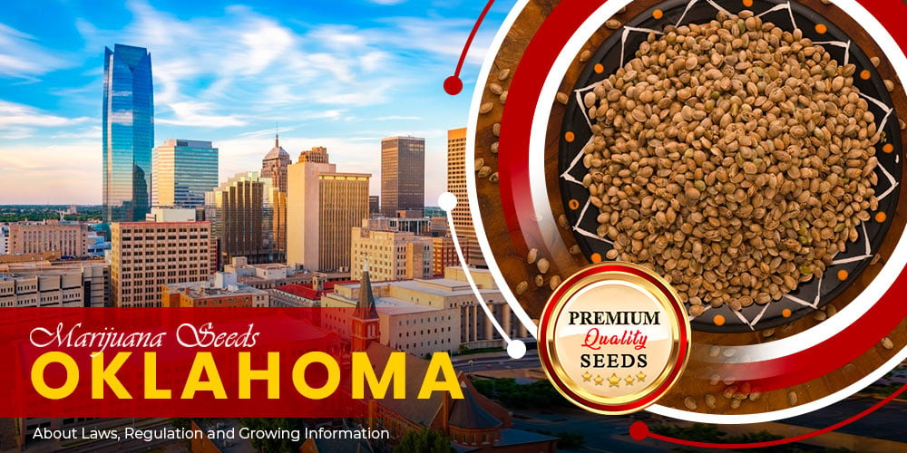marijuana seeds oklahoma