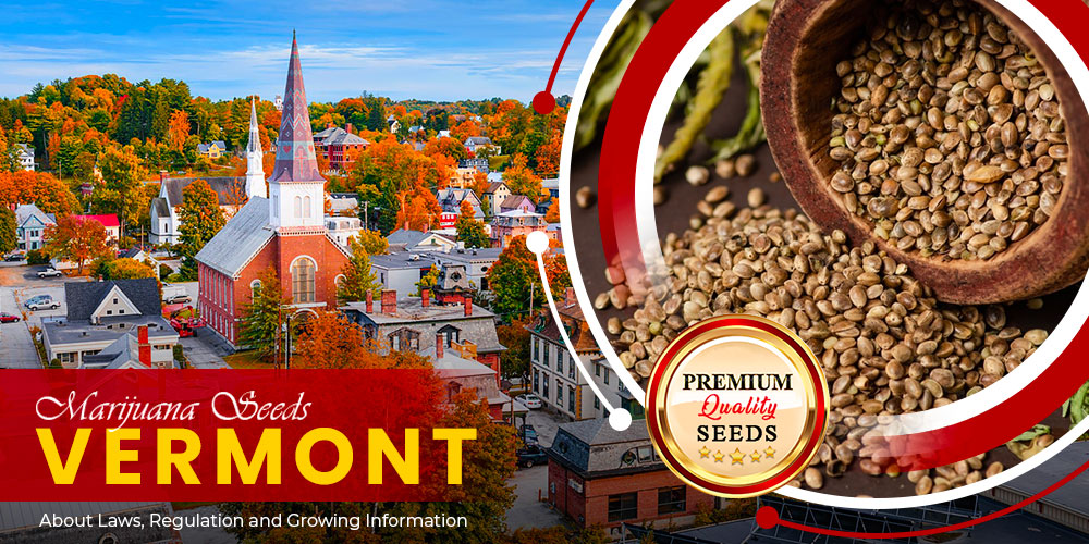 marijuana seeds vermont