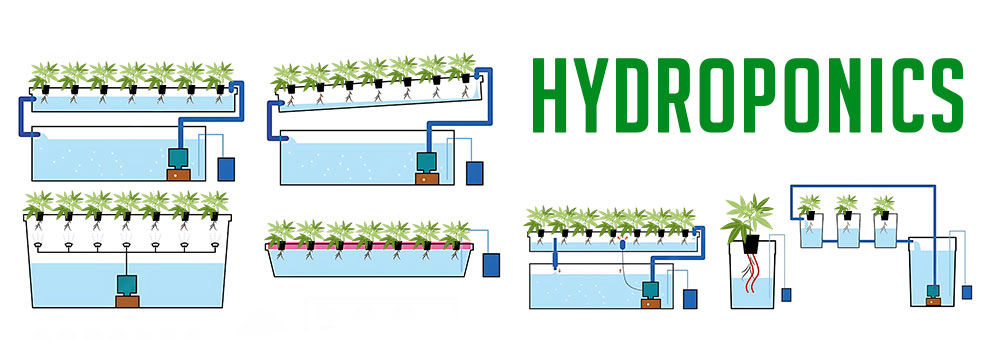 What are the Different Types of Hydro Set Up