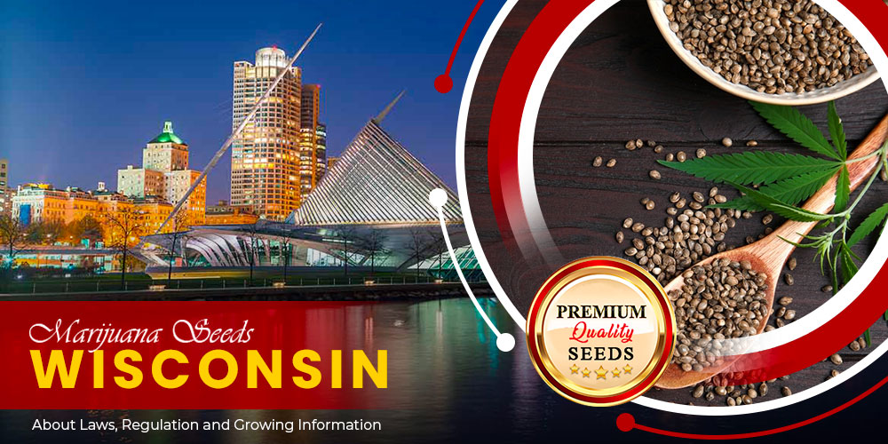 marijuana seeds wisconsin