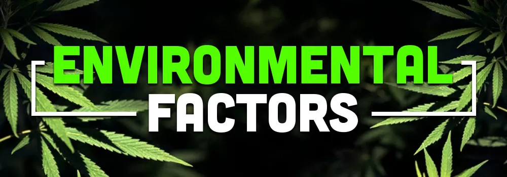 Environmental Factors