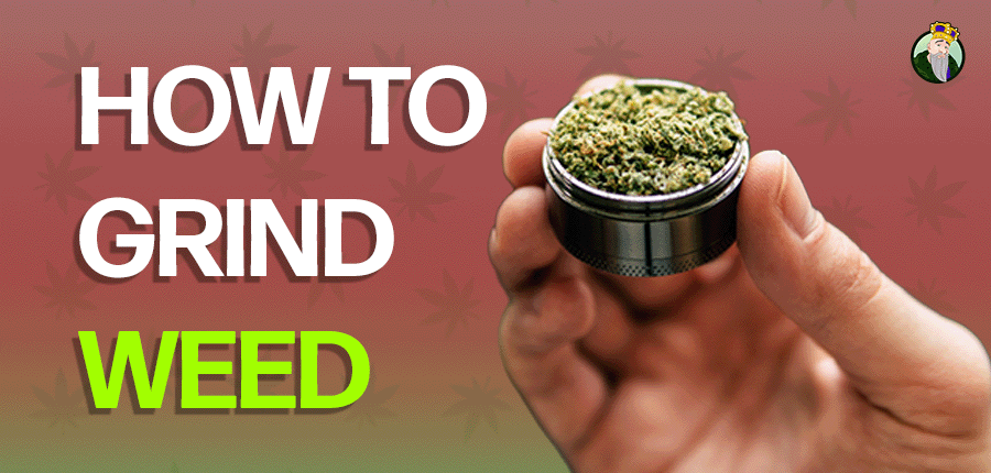 Grinders to grind marijuana
