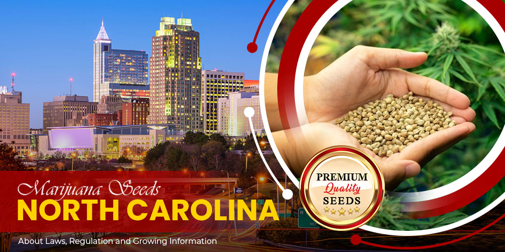 marijuana seeds north carolina