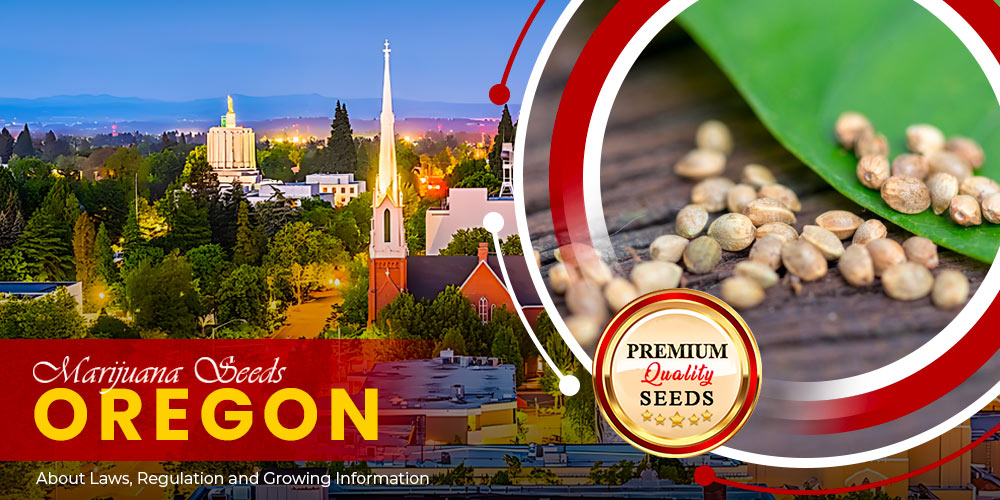 marijuana seeds oregon