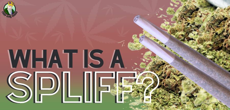 what is a spliff