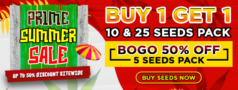 Crop King Seeds Prime Summer sale